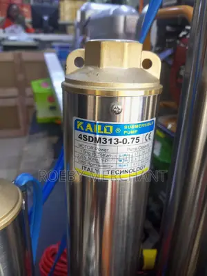 Recommended 1.0hp Kailo Submersible Water Pump