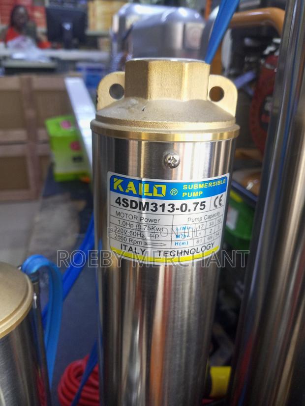 Recommended 1.0hp Kailo Submersible Water Pump