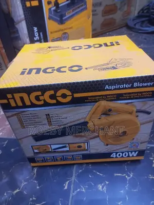 Ideal Ingco Dust Blower
