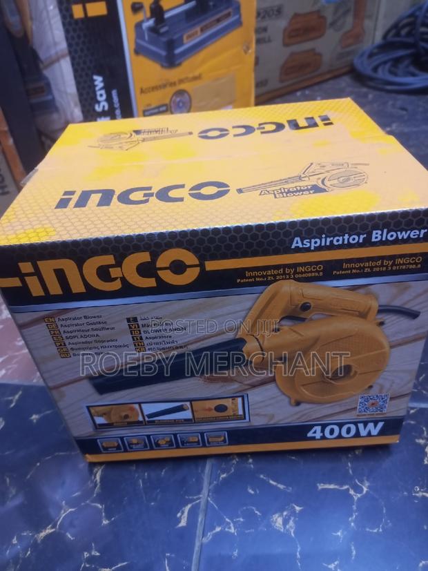 Ideal Ingco Dust Blower