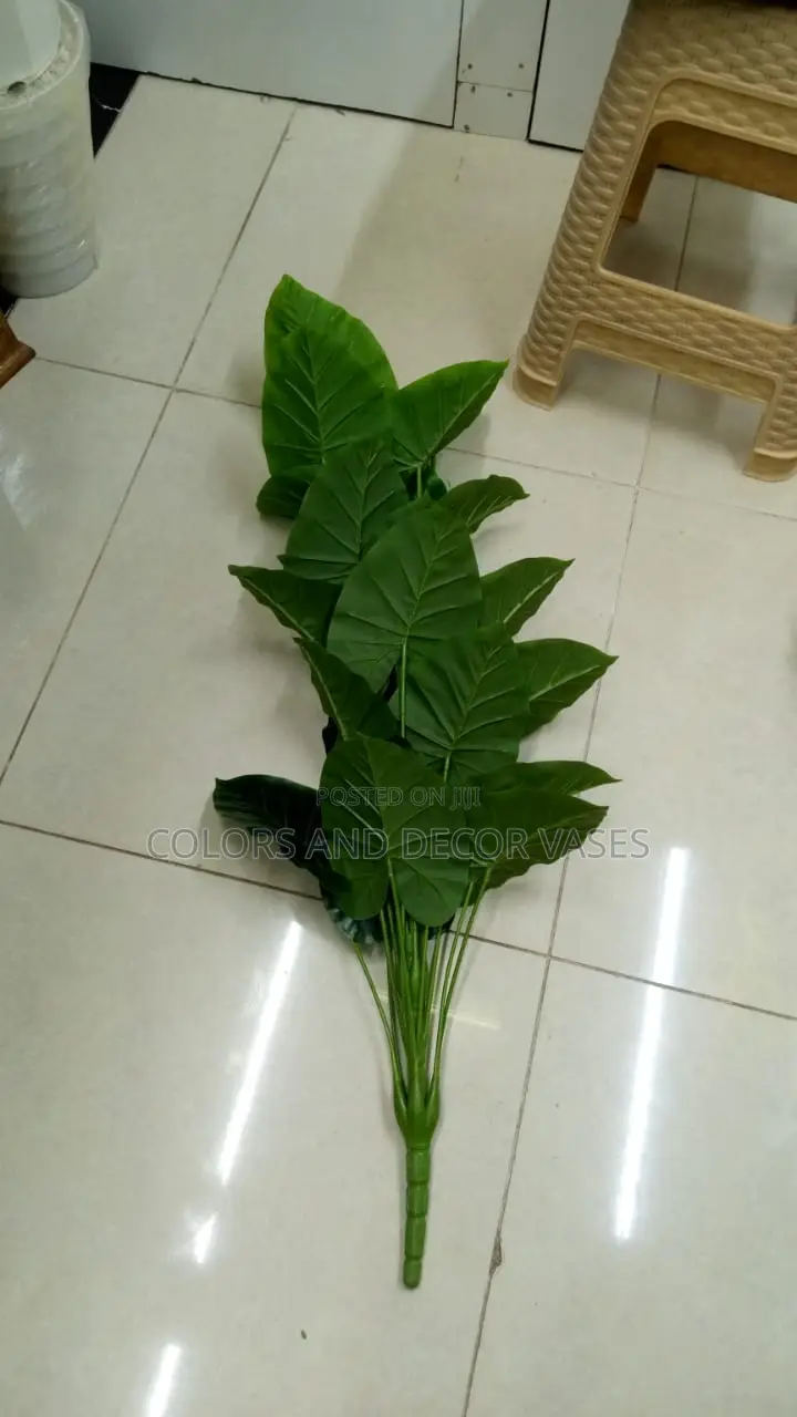 1m Plant KSH Offer Price