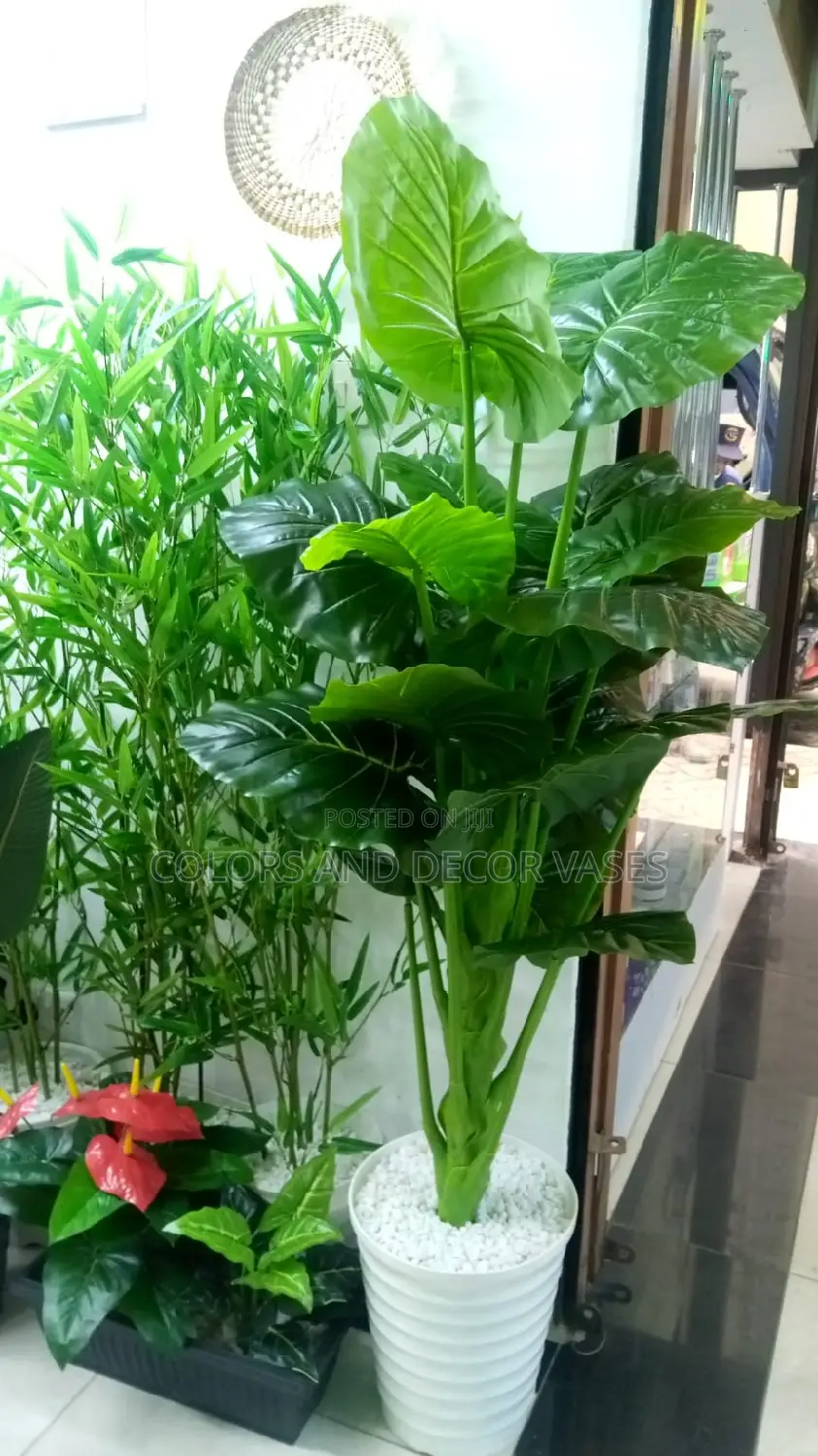 Green Long Plant With Big Plastic Vase