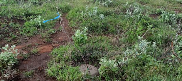 Hill Hills Gardens 50x100 Land for Sale - thumbnail 3