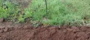 50x100 Land for Sale in Kikuyu Karai