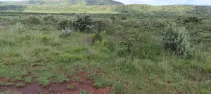 50x100 Land for Sale in Kikuyu Karai on Limited Time Offer