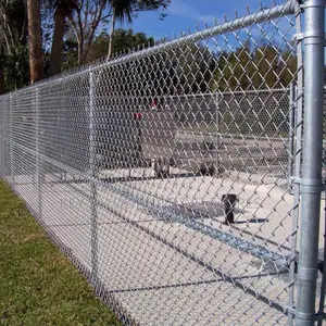 Top Quality Galvanized Chainlink Fence-10g 80×80 7ft High