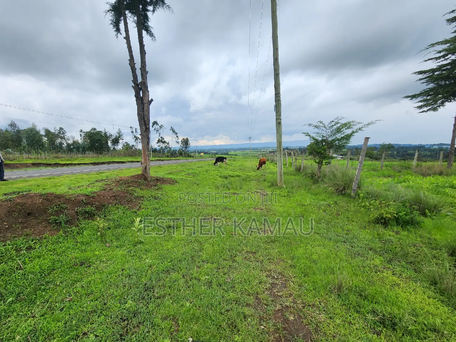 Prime Land for Sale - 0.6 Acres at Kiganjo on Tarmac
