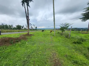 Prime Land for Sale - 0.6 Acres at Kiganjo on Tarmac