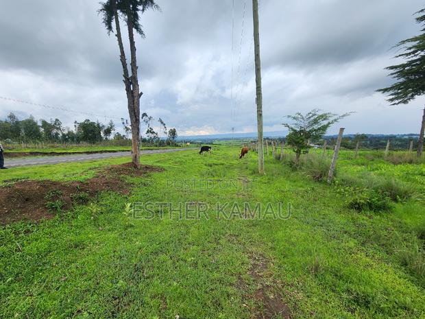 Prime Land for Sale - 0.6 Acres at Kiganjo on Tarmac