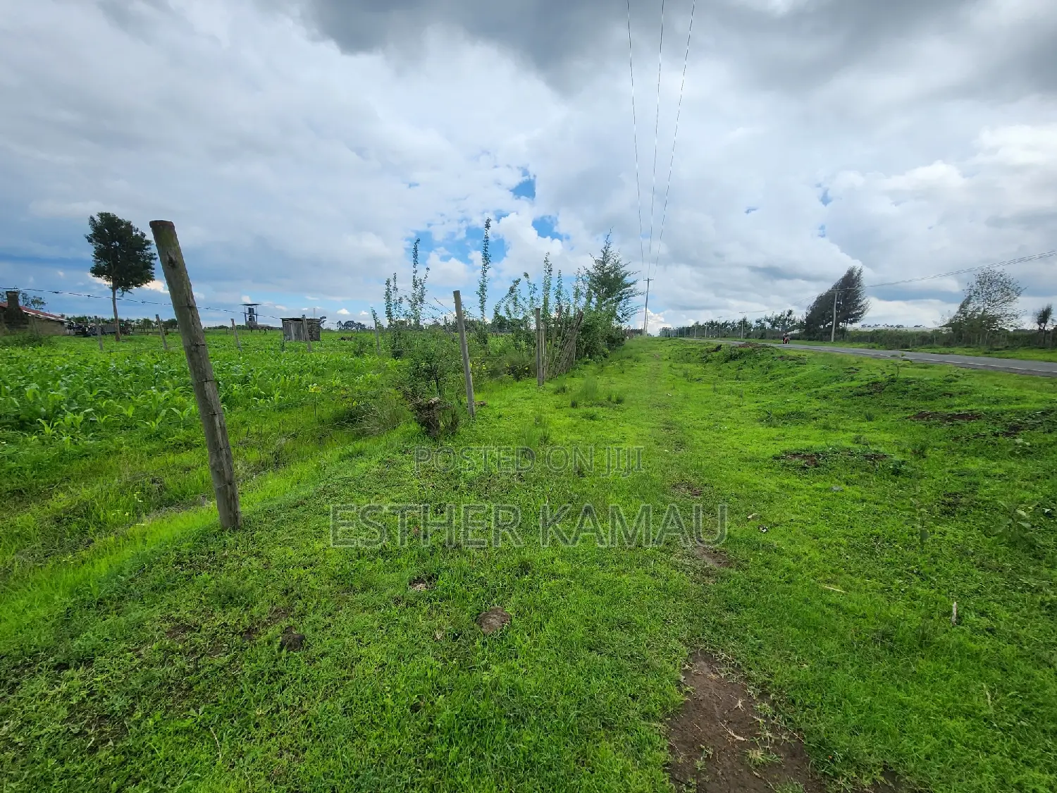 Prime Land for Sale - 0.6 Acres at Kiganjo on Tarmac