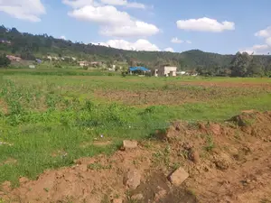 Affordable Prime 50x100 Plot for Sale in Kikuyu Karai