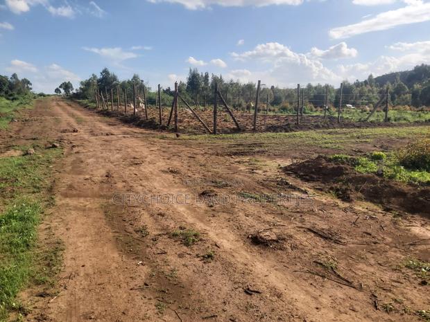 Affordable Prime 50x100 Plot for Sale in Kikuyu Karai - thumbnail 2
