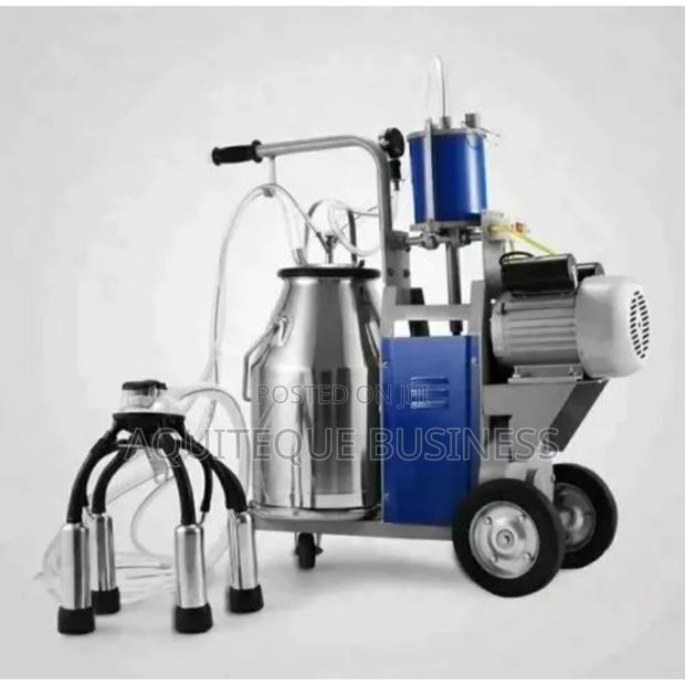 Stainless Single Milking Machine - main view