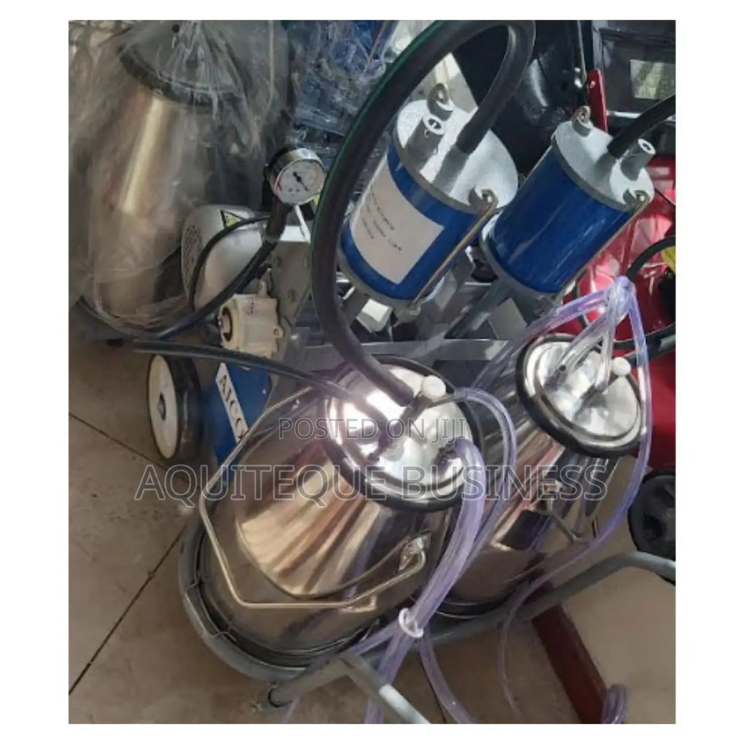 Double Buckle Milking Machine