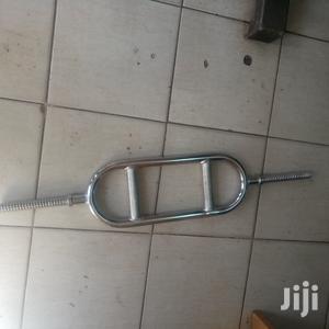 Swiss Bar/Weights