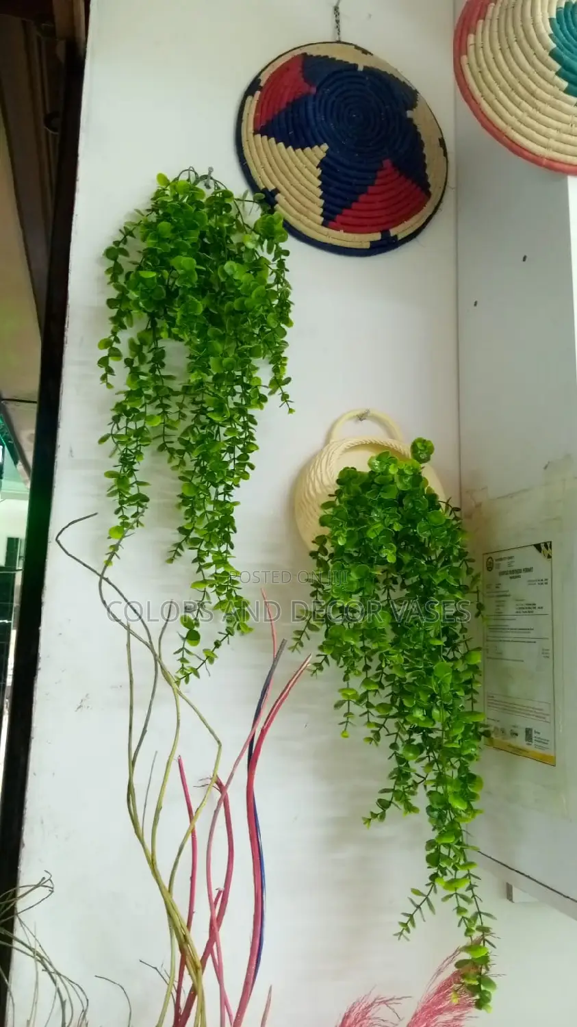 Vines Hanging Plants With Vase