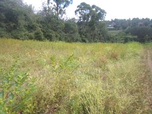 50ft by 100ft Plot in O/Rongai Nkoroi Acacia. - main view