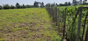 Plots for Sale in Kiplombe Opposite New MTRH in Eldoret