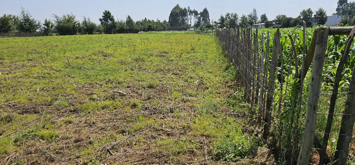 Plots for Sale in Kiplombe Opposite New MTRH in Eldoret