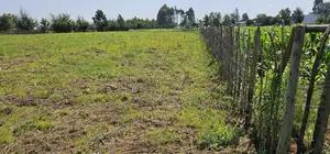 Plots for Sale in Kiplombe Opposite New MTRH in Eldoret