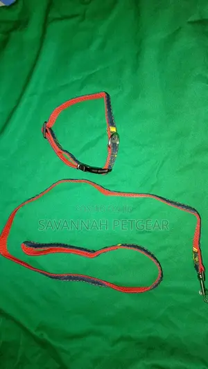 DENIM Designer Dog Collar and Lead Set - Large Size