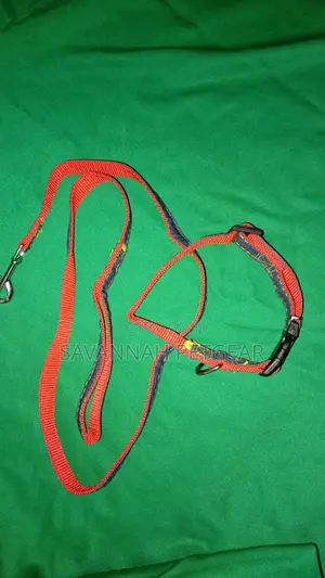 DENIM Designer Dog Collar and Lead Set - Large Size