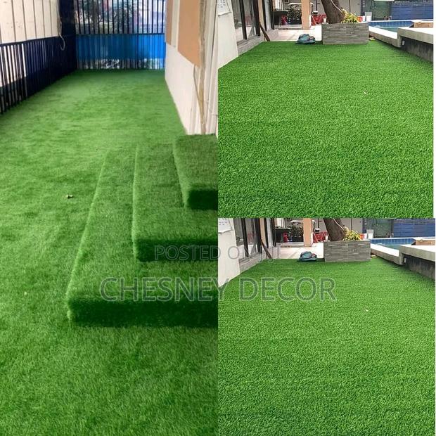 Grass Carpet Grass Carpet Grass Carpet Grass Carpet