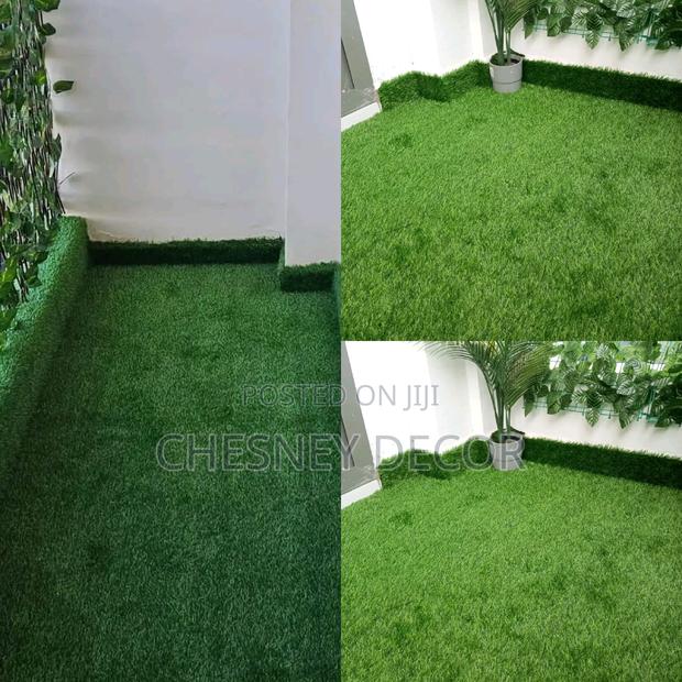 Turf Grass Turf Grass Turf Grass - main view