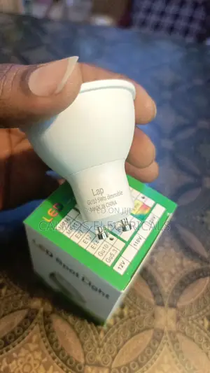 Dimmable Bulbs