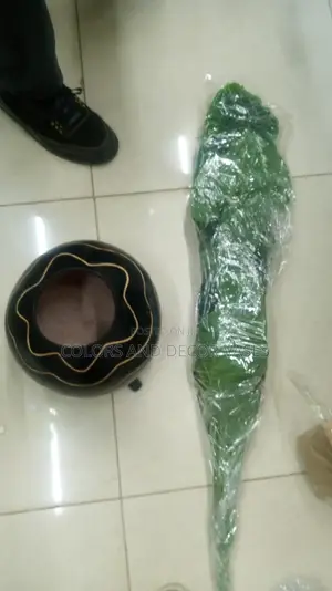 Plant Plus Calabash Offer Price