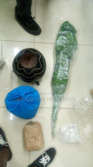 Calabash, Plant and White Stones - thumbnail 2