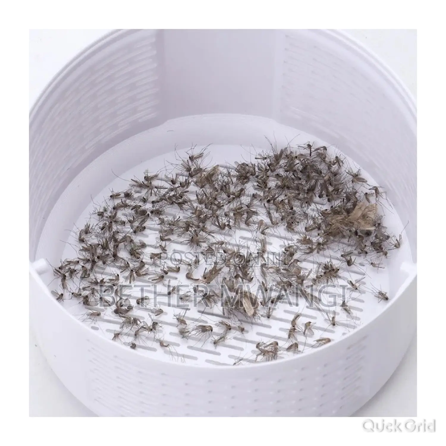 UV LED Mosquito Killer Lamp in Kenya