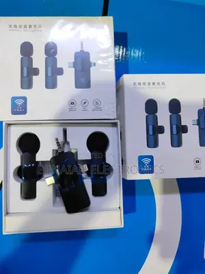 High Quality Wireless Double Universal Microphone