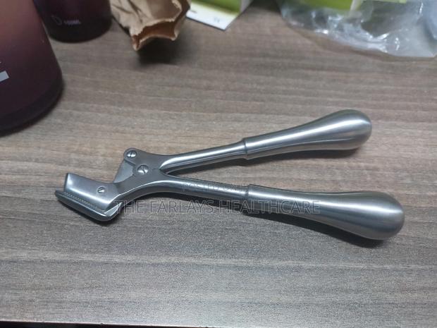 Plaster Shear - thumbnail 3