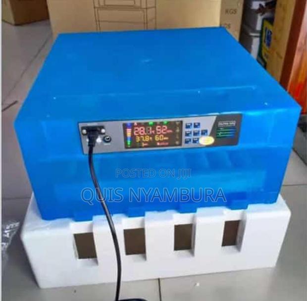 Incubator, Automatic 128eggs Incubator Ac/Dc