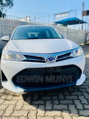Toyota Corolla Fielder 2018 Pearl