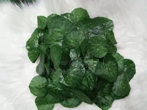 Artificial Decor Vines Available