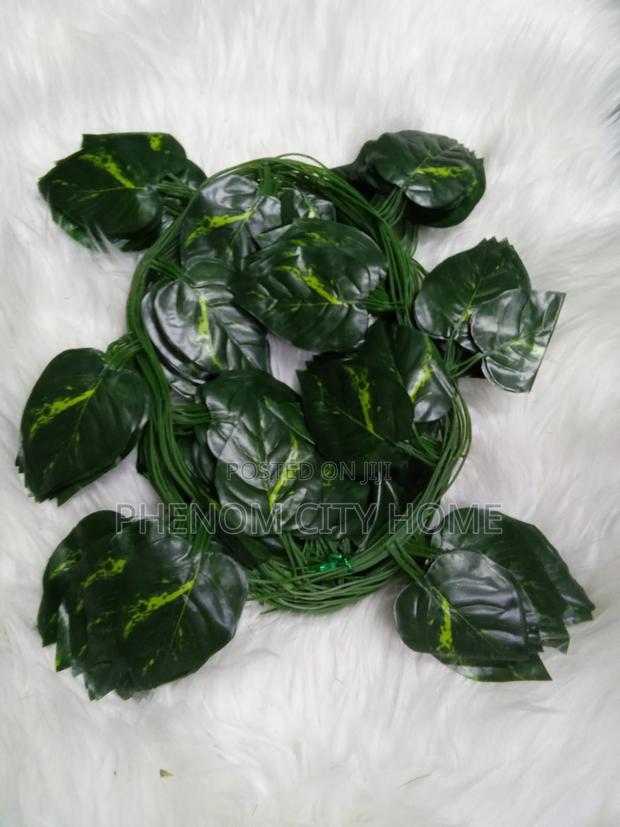 Decorative Vines Available