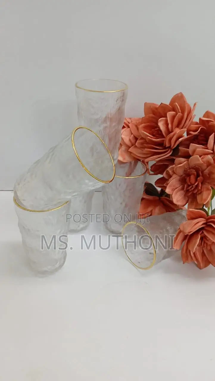 6 Pieces High Quality Borosilicate Water Juice Glasses