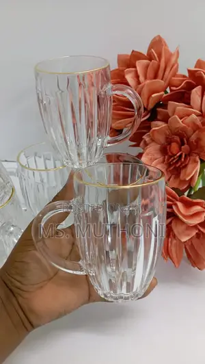 6 Pieces High Quality Borosilicate Water Juice Glasses