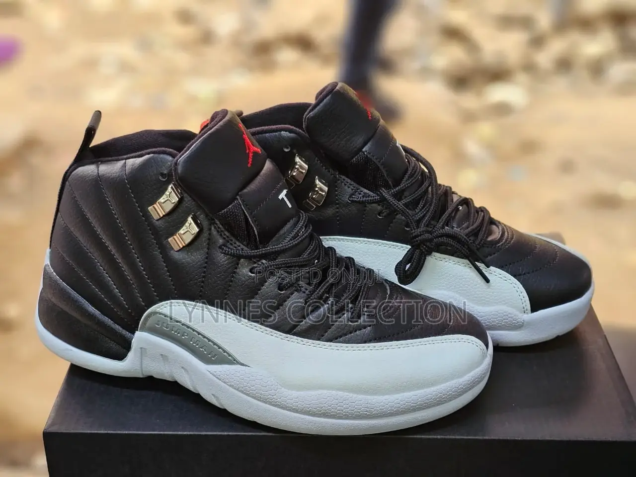 Jordan 12 Shoes and Jordan 4s