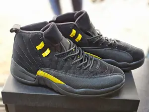 Jordan 12 Shoes and Jordan 4s