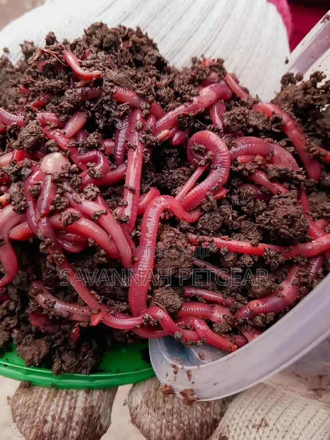 Vermiliquid Earthworm Liquid Fertilizer Nutrients - 20 Litre