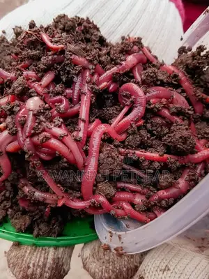 Vermiliquid Earthworm Liquid Fertilizer Nutrients - 20 Litre