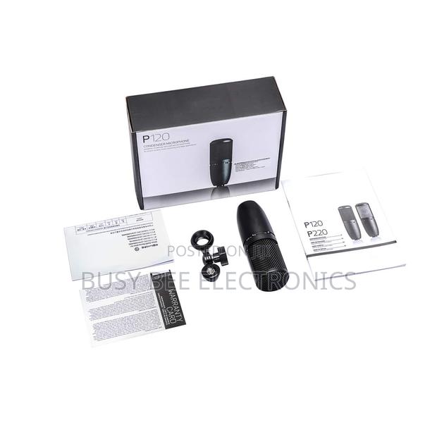 P120 Akg. Condensor Microphone - main view