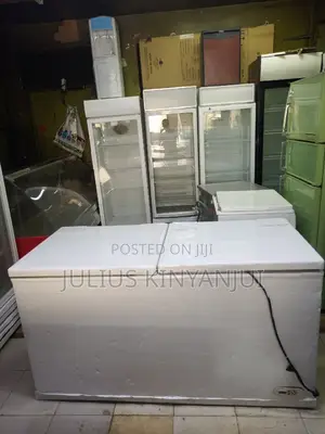 Double Door Chest Freezer
