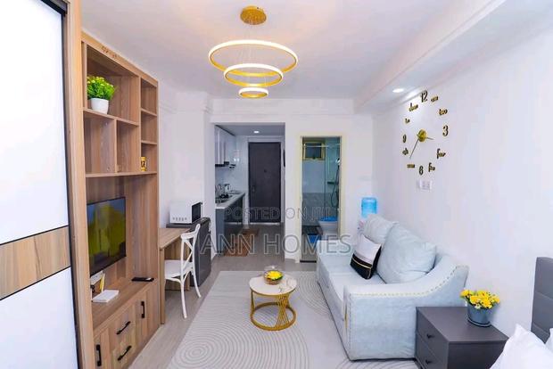 Bedsitter Studio Airbnb in South B - thumbnail 6
