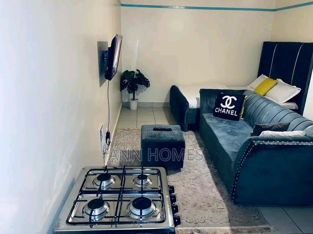 Studio South B (Airbnb) - thumbnail 7
