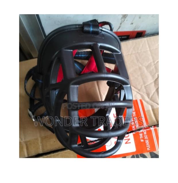 Muzzle Muzzle Muzzle Muzzle Muzzle - main view