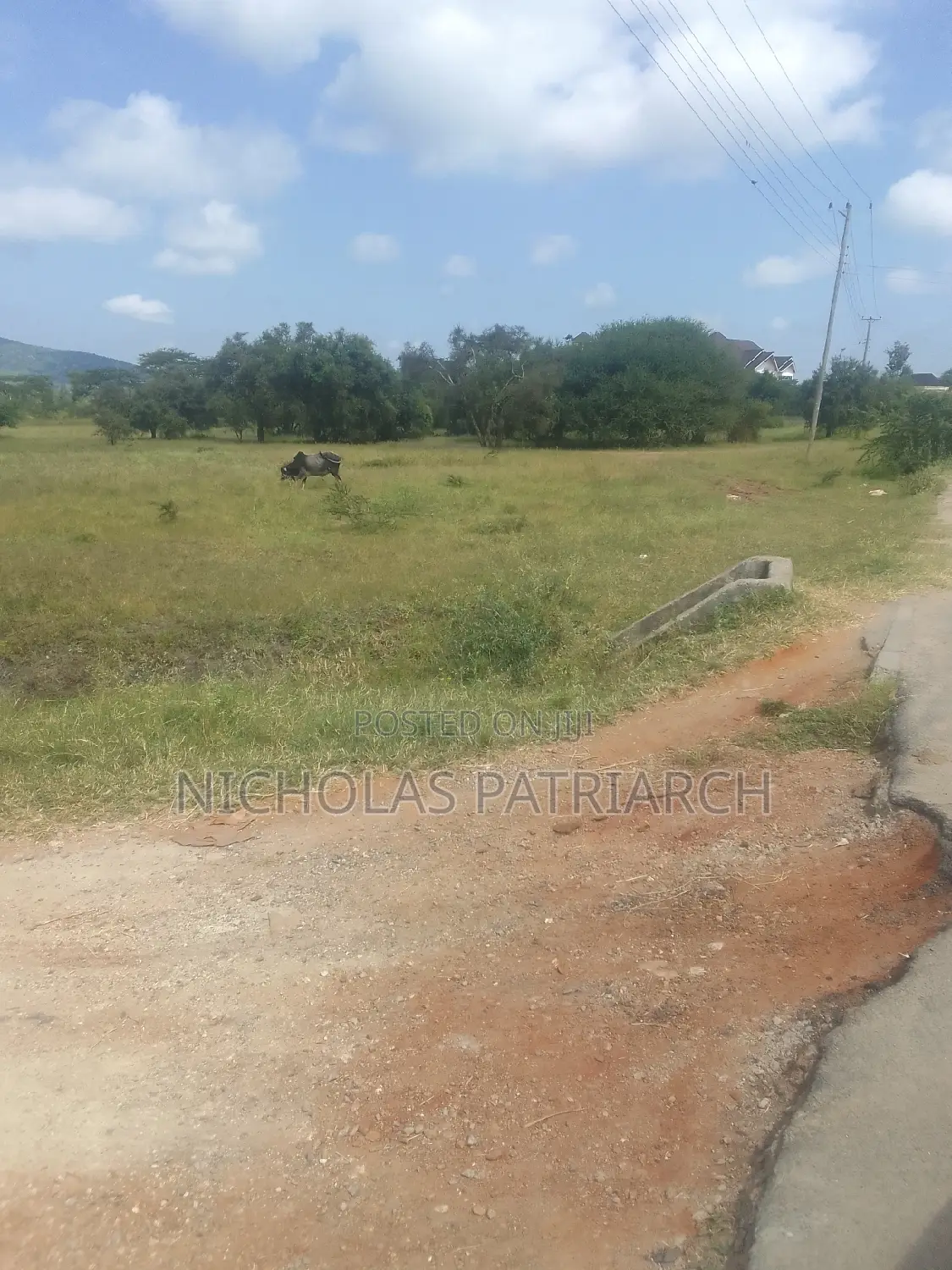100x100 Plot Kithini Near Mama Mutua Home at 2.5m